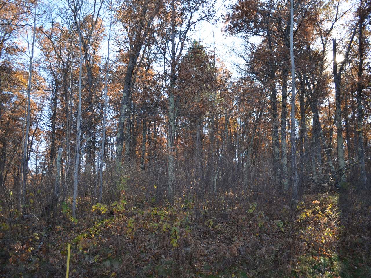 Lot 12 Wind Song Road Tomahawk, WI 54487 - Photo 4 of 20 Gallery Image 4