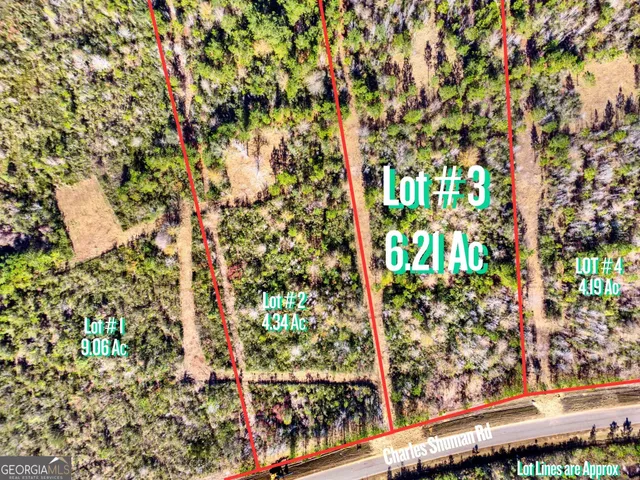$155,000 | Lot 3 Charles Shuman Road, Pembroke, GA 31321