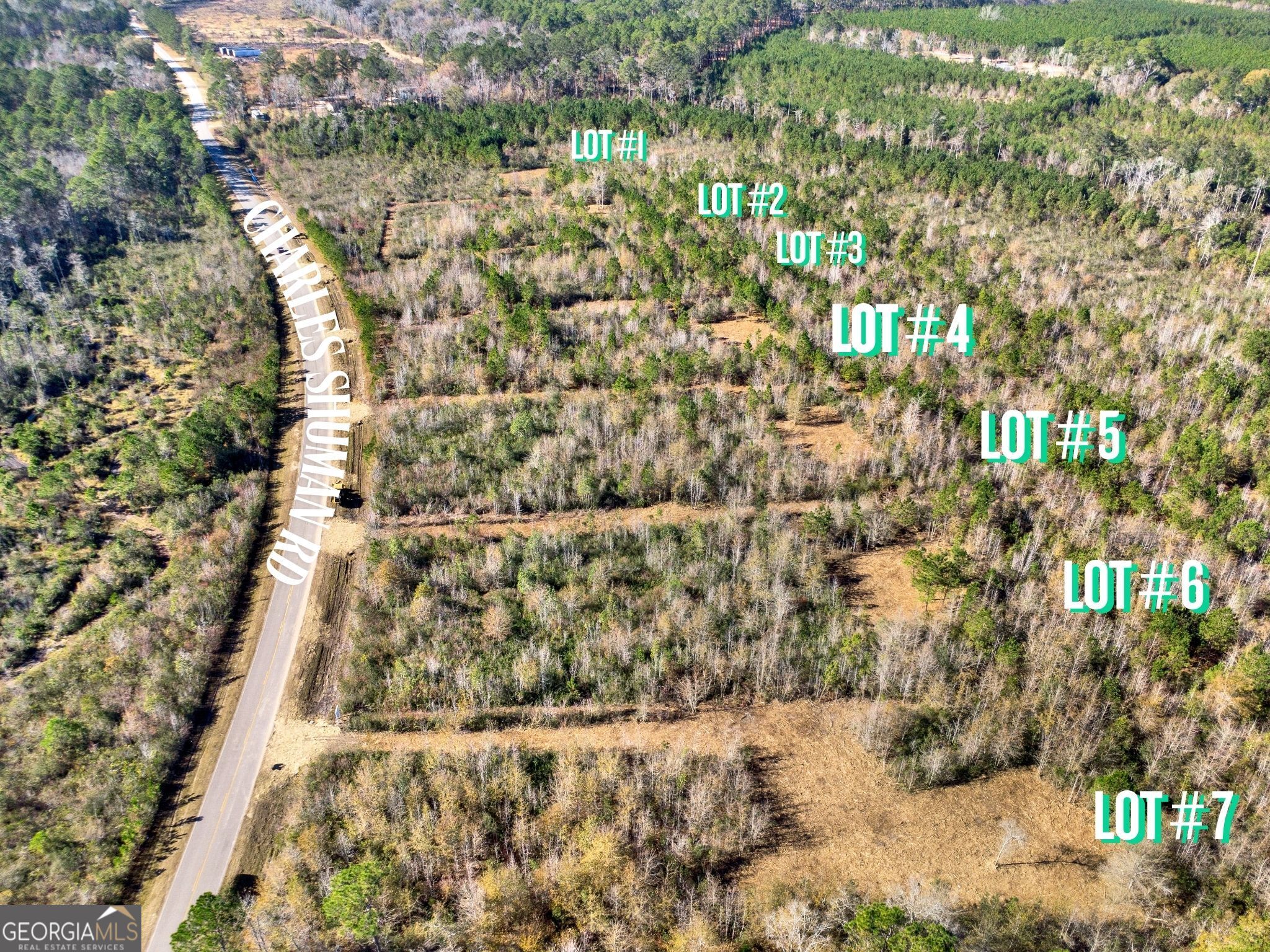 Lot 3 Charles Shuman Road Pembroke, GA 31321 - Photo 3 of 6