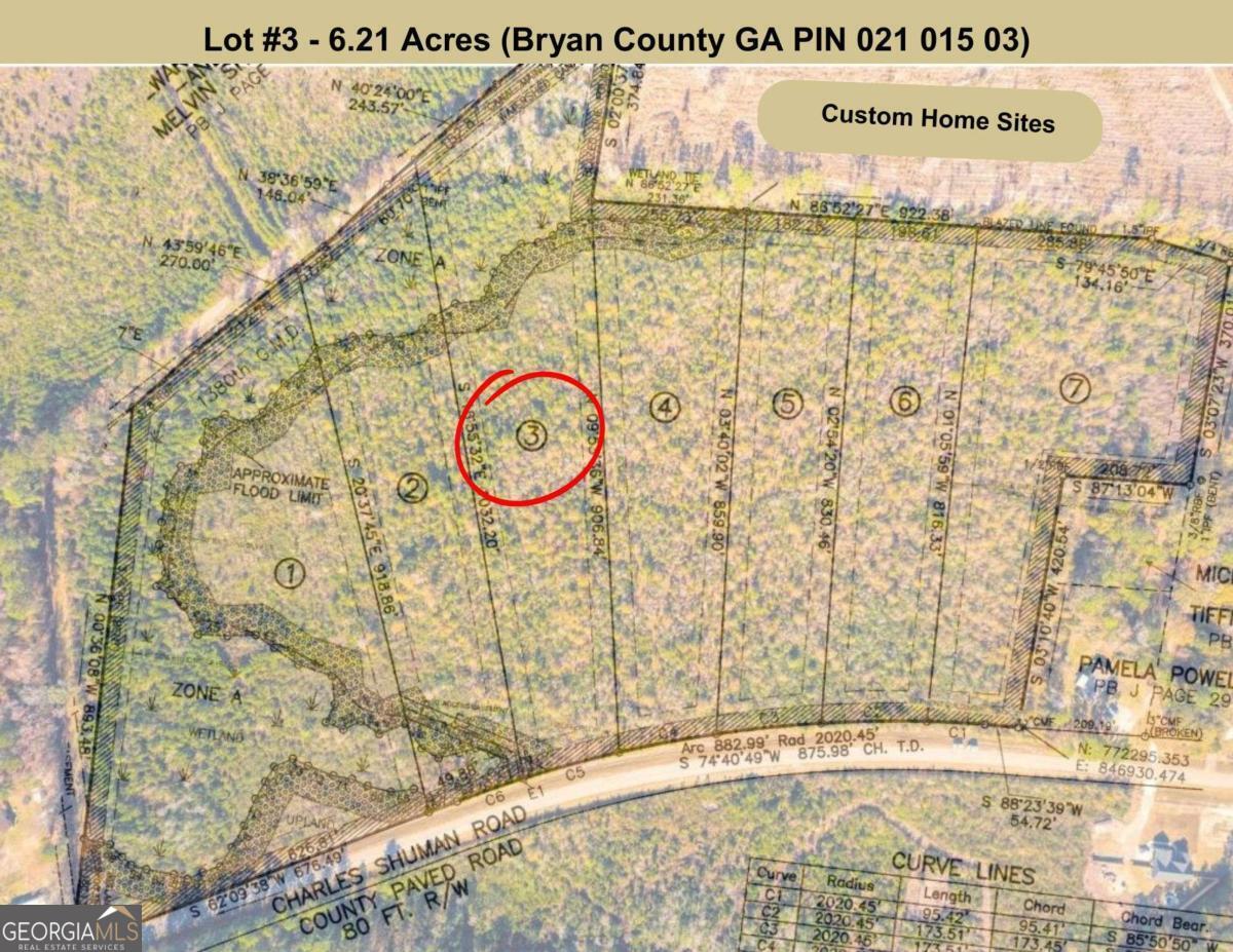 Lot 3 Charles Shuman Road Pembroke, GA 31321 - Photo 5 of 6
