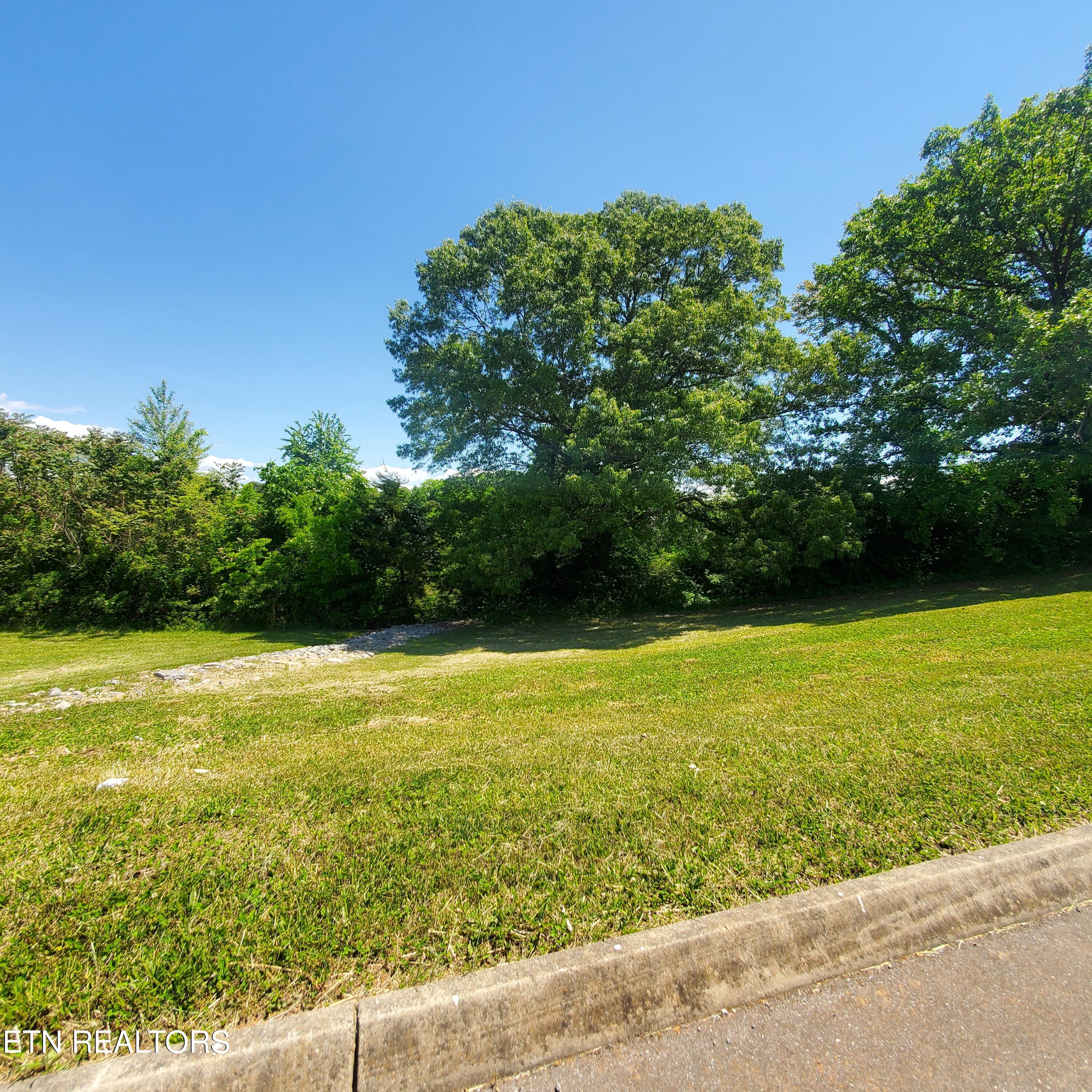 Lot 110 Tumbleweed Trail Rutledge, TN 37861 - Photo 11 of 22 Lot 110 Tumbleweed Trl - 11