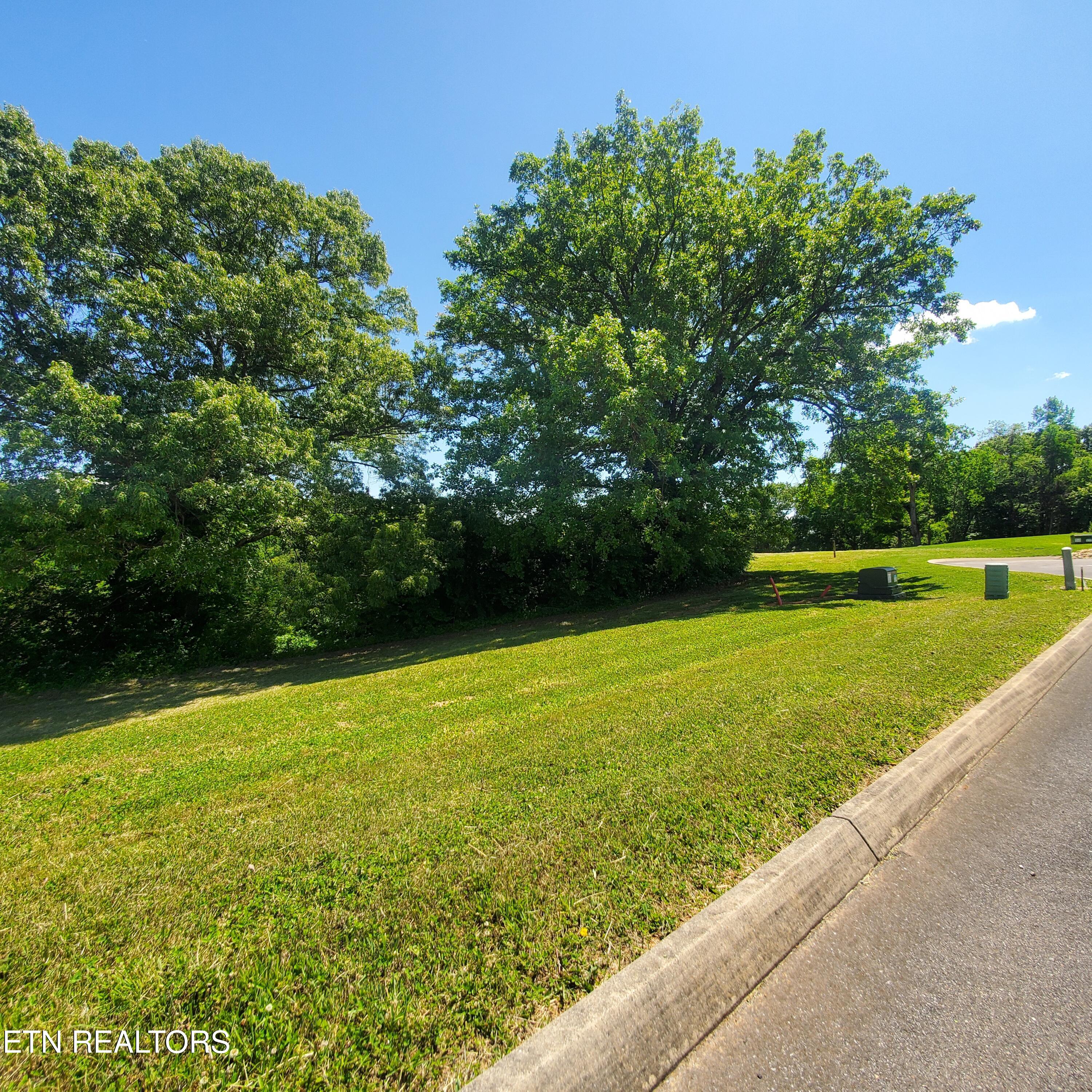 Lot 110 Tumbleweed Trail Rutledge, TN 37861 - Photo 12 of 22 Lot 110 Tumbleweed Trl - 12