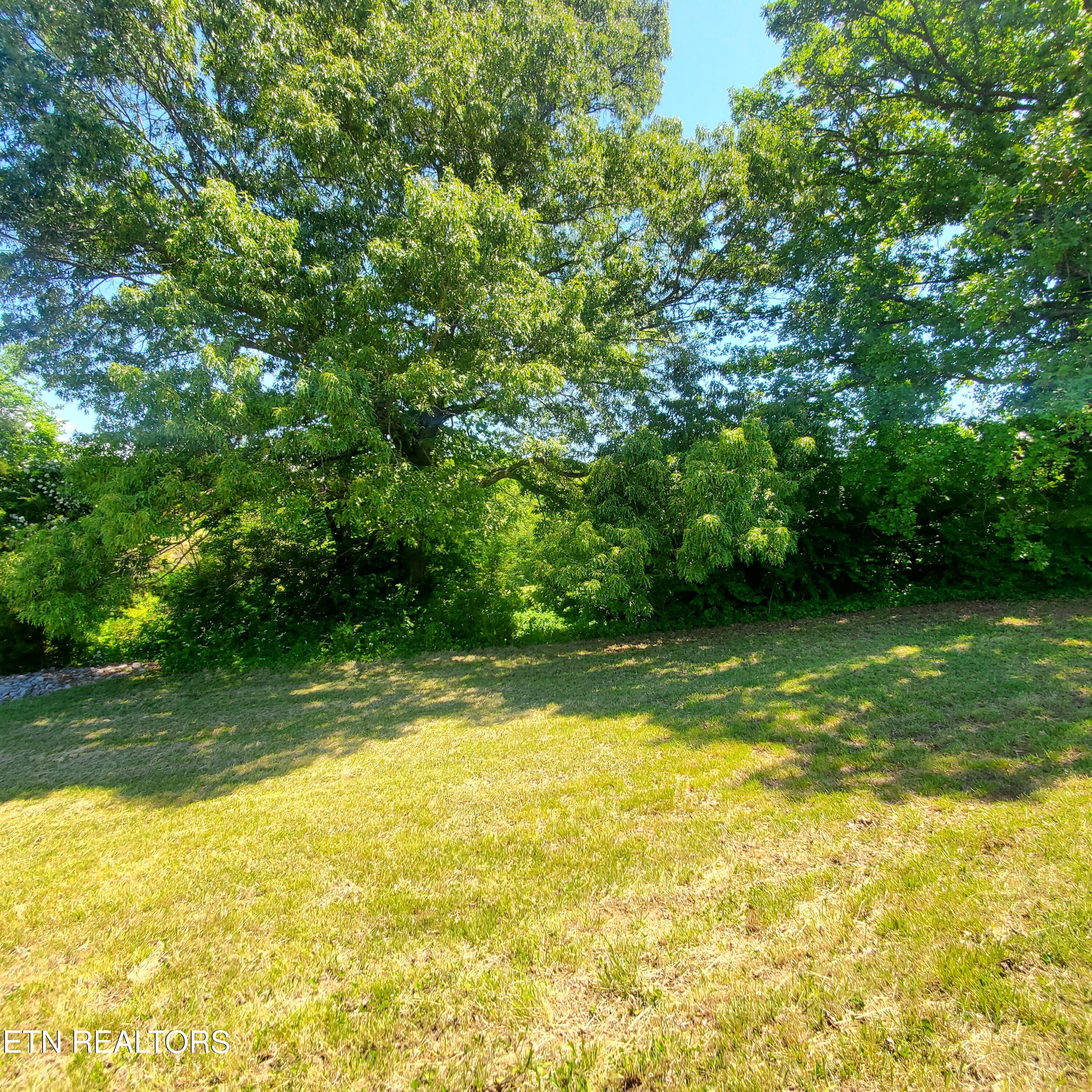 Lot 110 Tumbleweed Trail Rutledge, TN 37861 - Photo 13 of 22 Lot 110 Tumbleweed Trl - 13