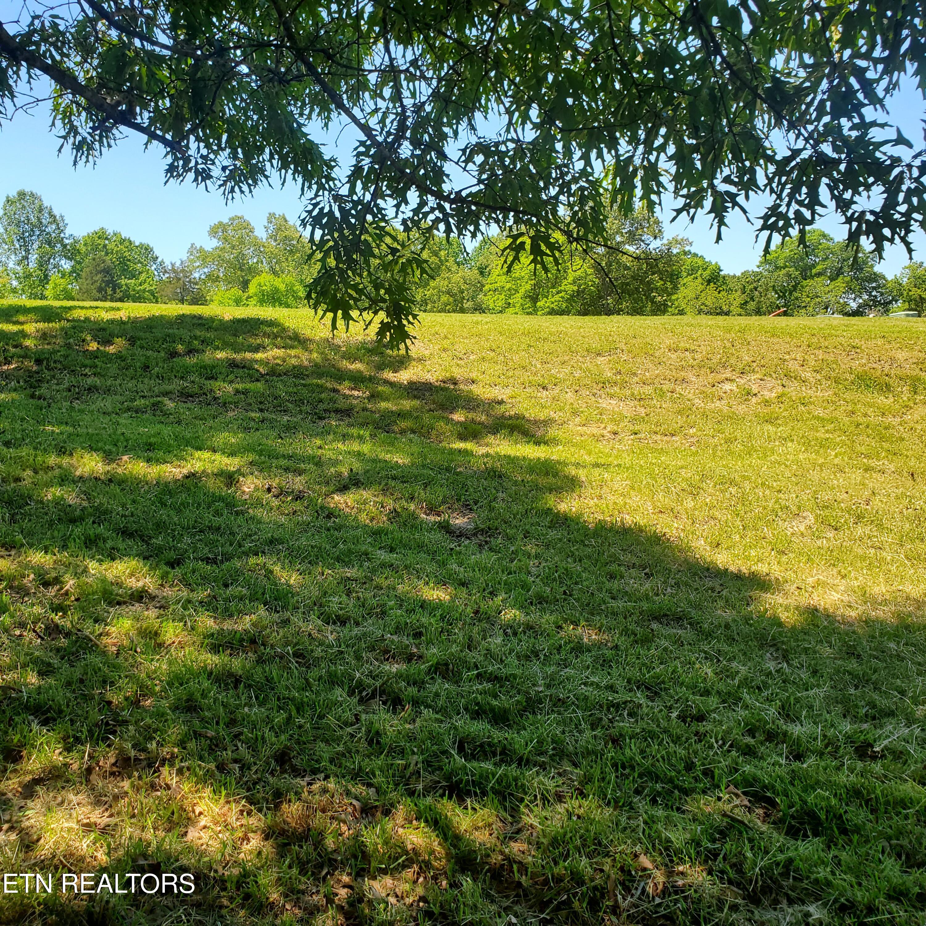 Lot 110 Tumbleweed Trail Rutledge, TN 37861 - Photo 14 of 22 Lot 110 Tumbleweed Trl - 14