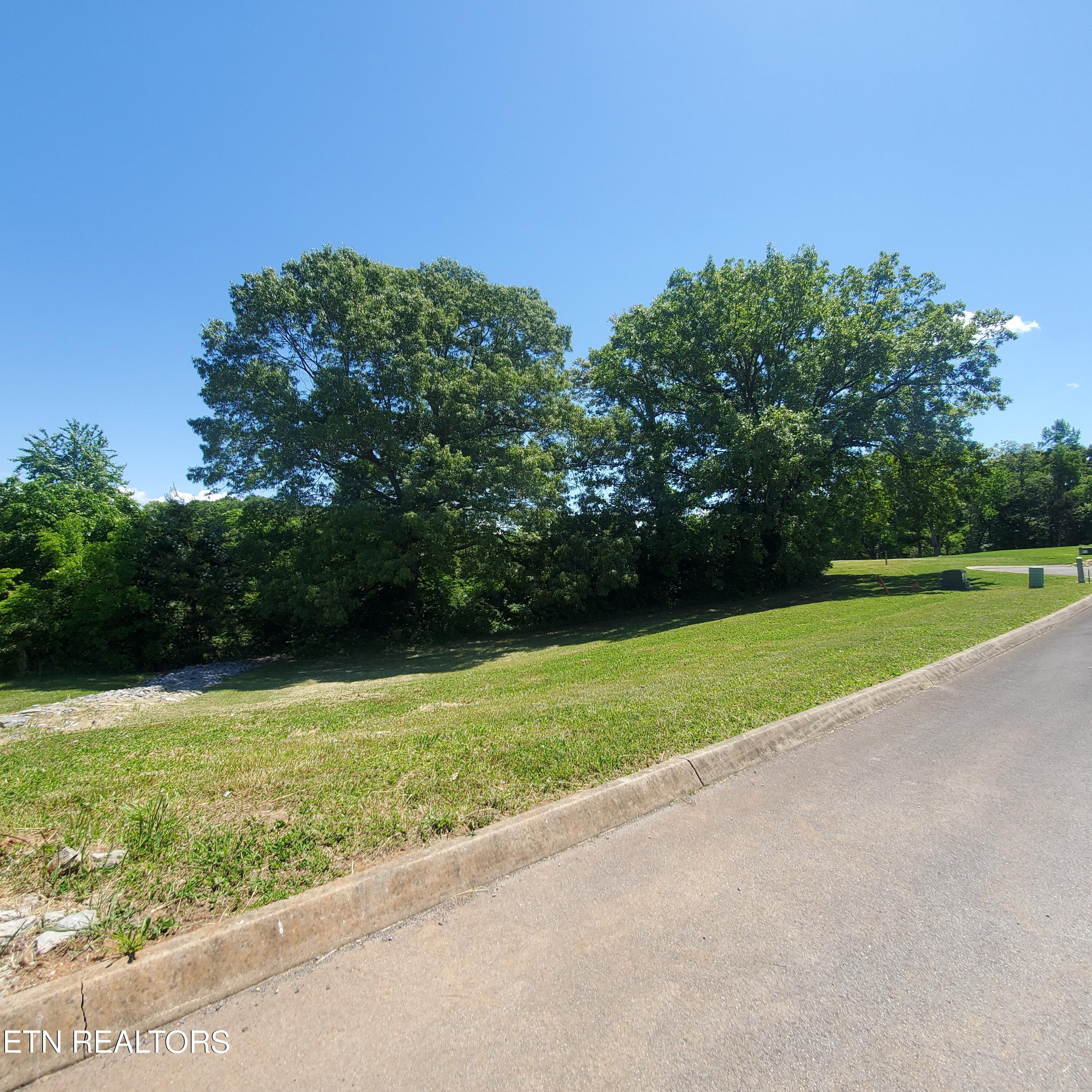 Lot 110 Tumbleweed Trail Rutledge, TN 37861 - Photo 8 of 22 Lot 110 Tumbleweed Trl - 8