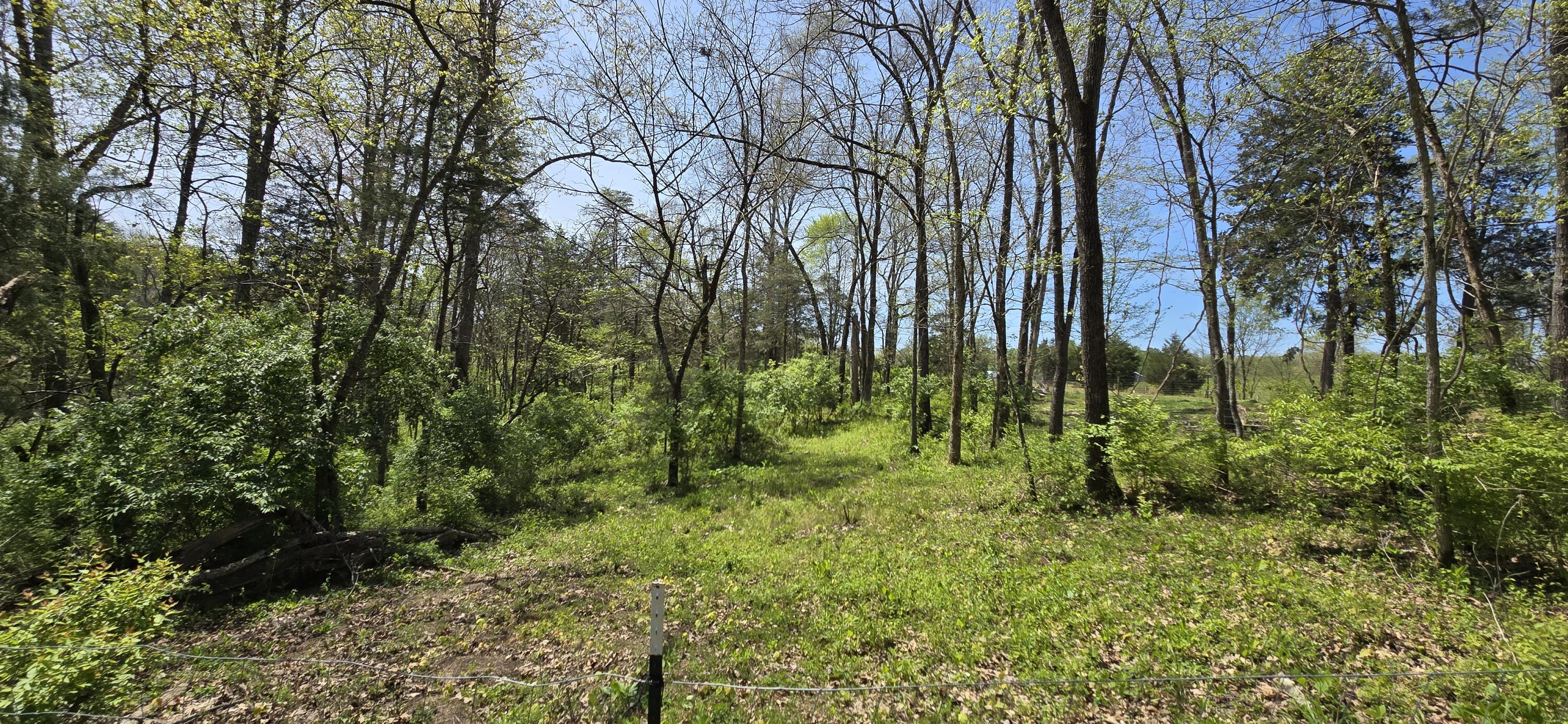 4100 Poplarville Road Somerset, KY 42501 - Photo 11 of 20 4100 Poplarville Rd, Somerset