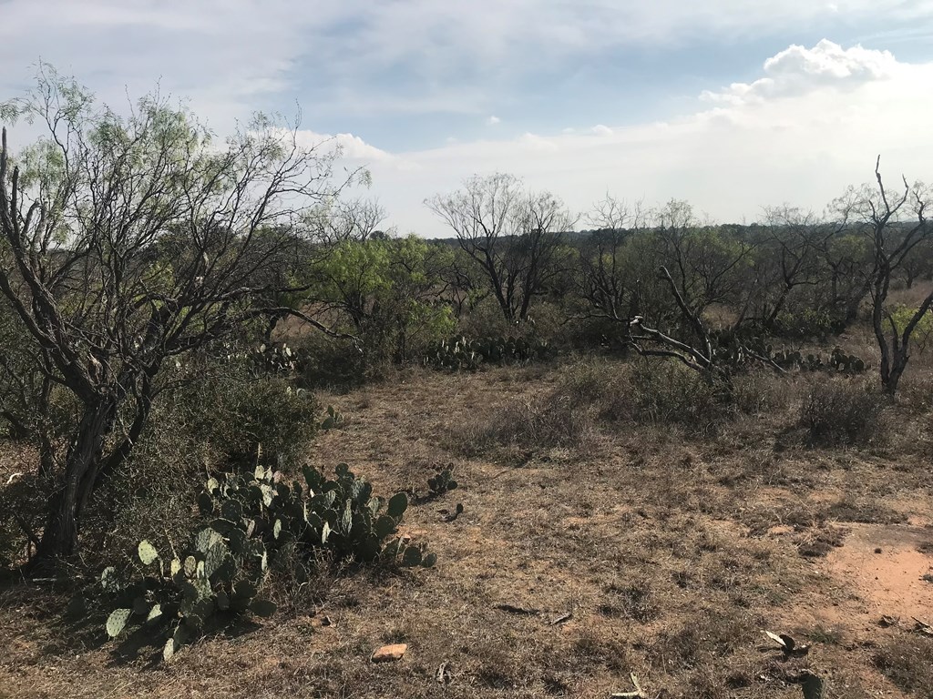 0 Kothmann Road Art, TX 76820 - Photo 6 of 9 Gallery Image 6