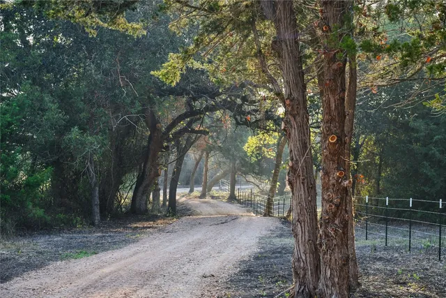 a backyard of a house with trees