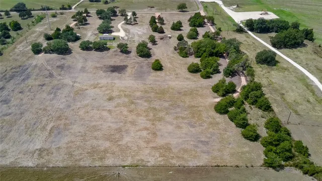 a view of a garden with plants
