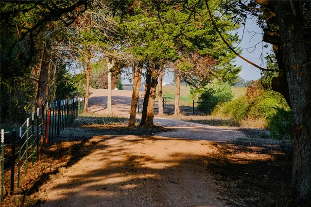 a view of backyard with green space