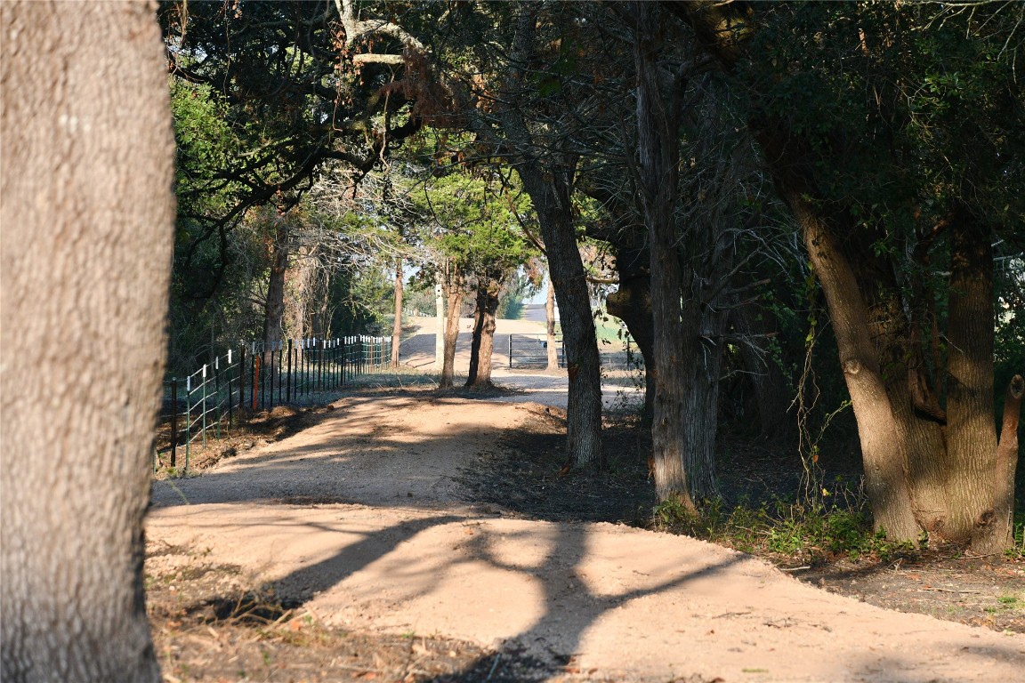 989 East Old Hallettsville Road Flatonia, TX 78941 - Photo 6 of 19 a view of backyard with tree