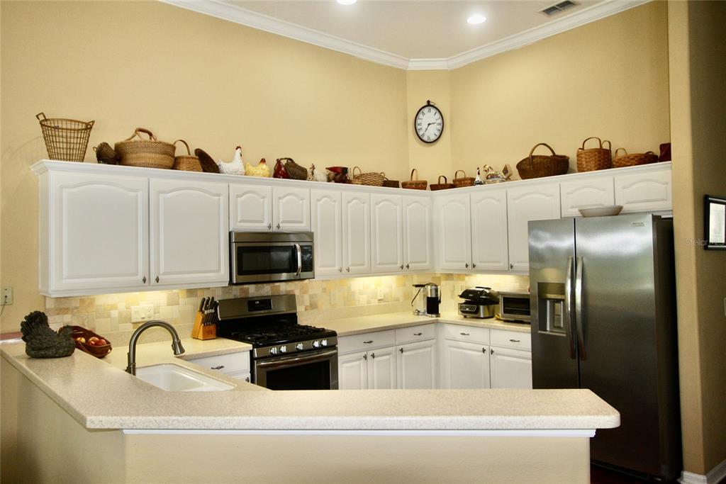 9035 Laurel Ridge Drive Mount Dora, FL 32757 - Photo 7 of 40
