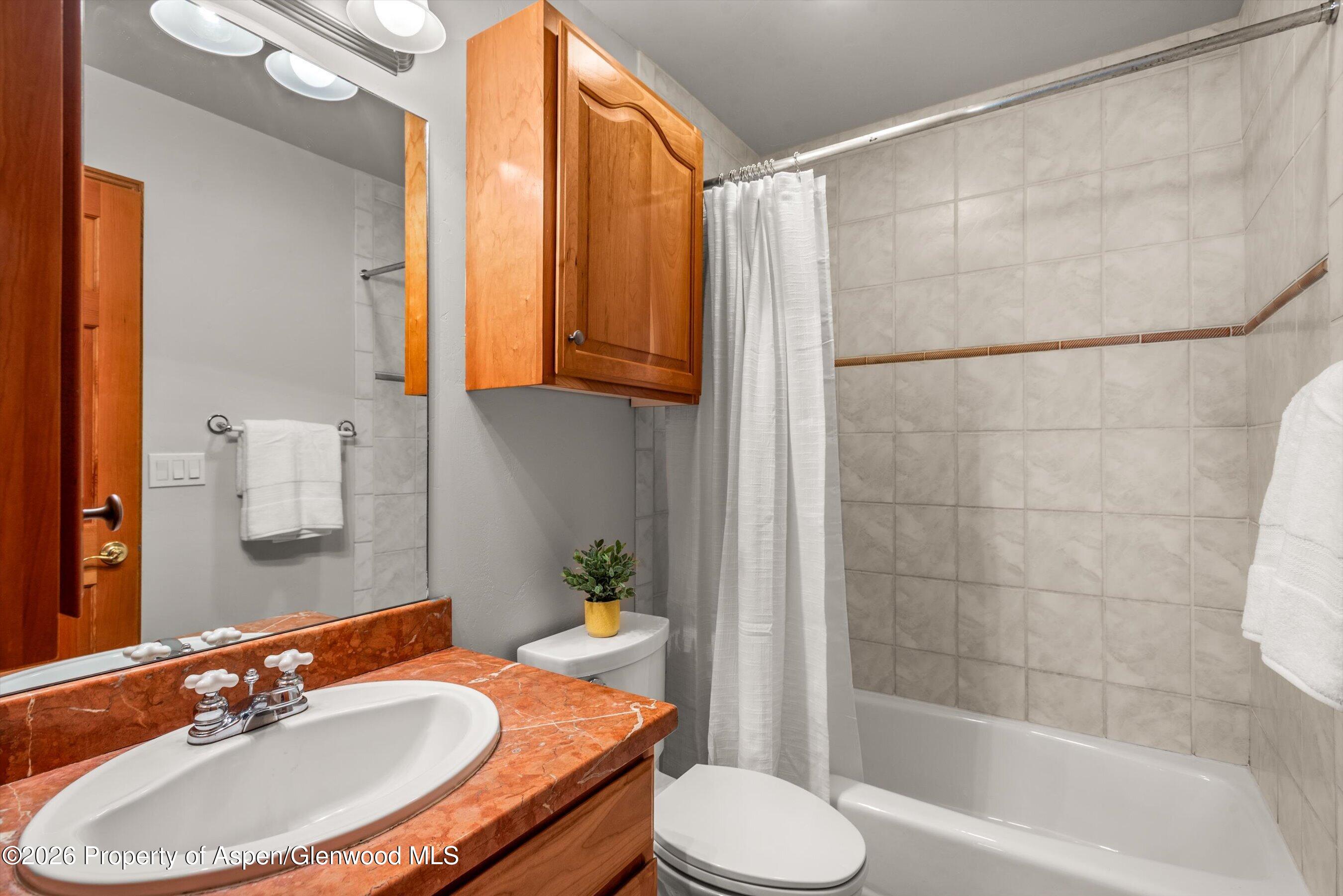 11 Riversedge Court Basalt, CO 81621 - Photo 15 of 18 Guest Bathroom