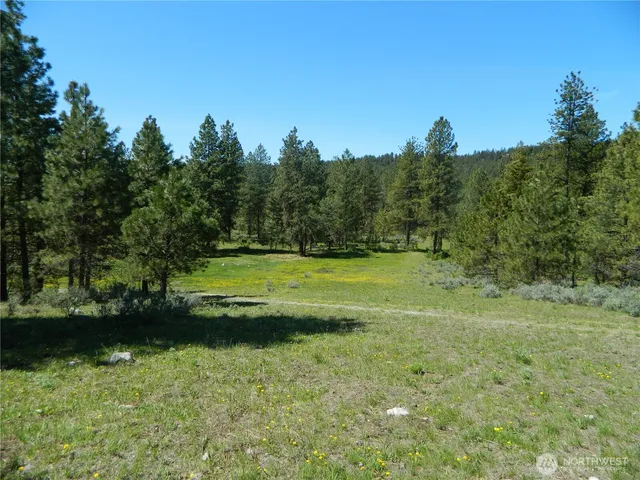 a view of a wooden deck