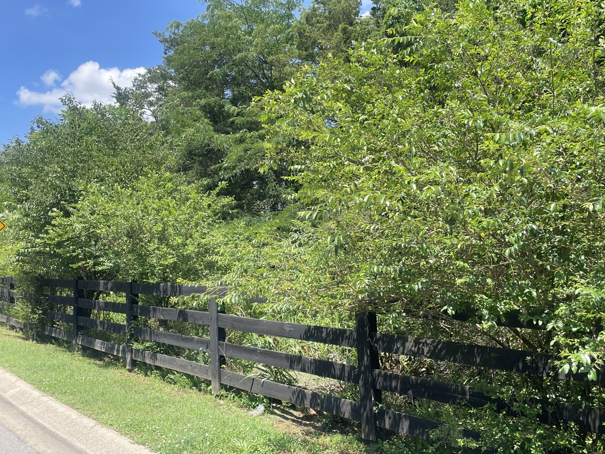 0 Stark Knob Road Hendersonville, TN 37075 - Photo 7 of 19