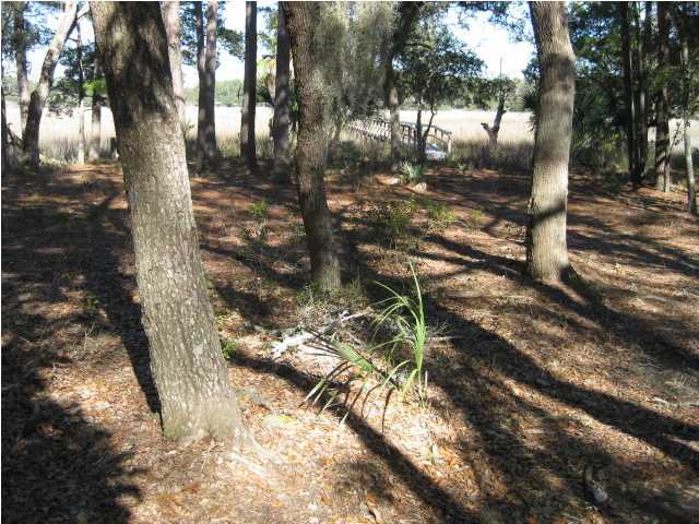 33 Pope Landing Road Edisto Island, SC 29438 - Photo 4 of 17 Additional Photo