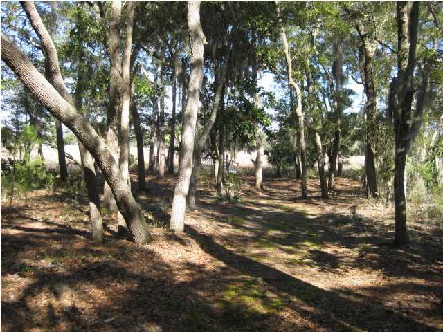 33 Pope Landing Road Edisto Island, SC 29438 - Photo 7 of 17 Additional Photo