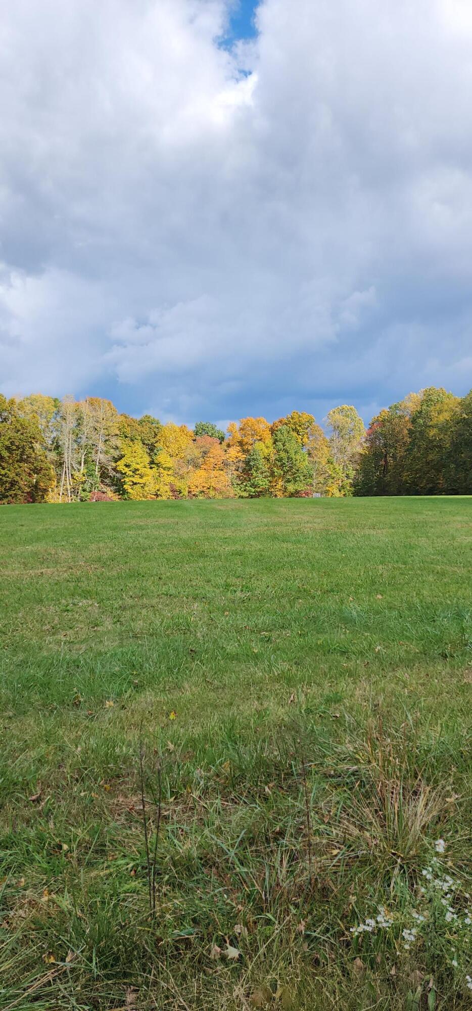 760 Wesley West Road Science Hill, KY 42553 - Photo 10 of 18 20231020_135248