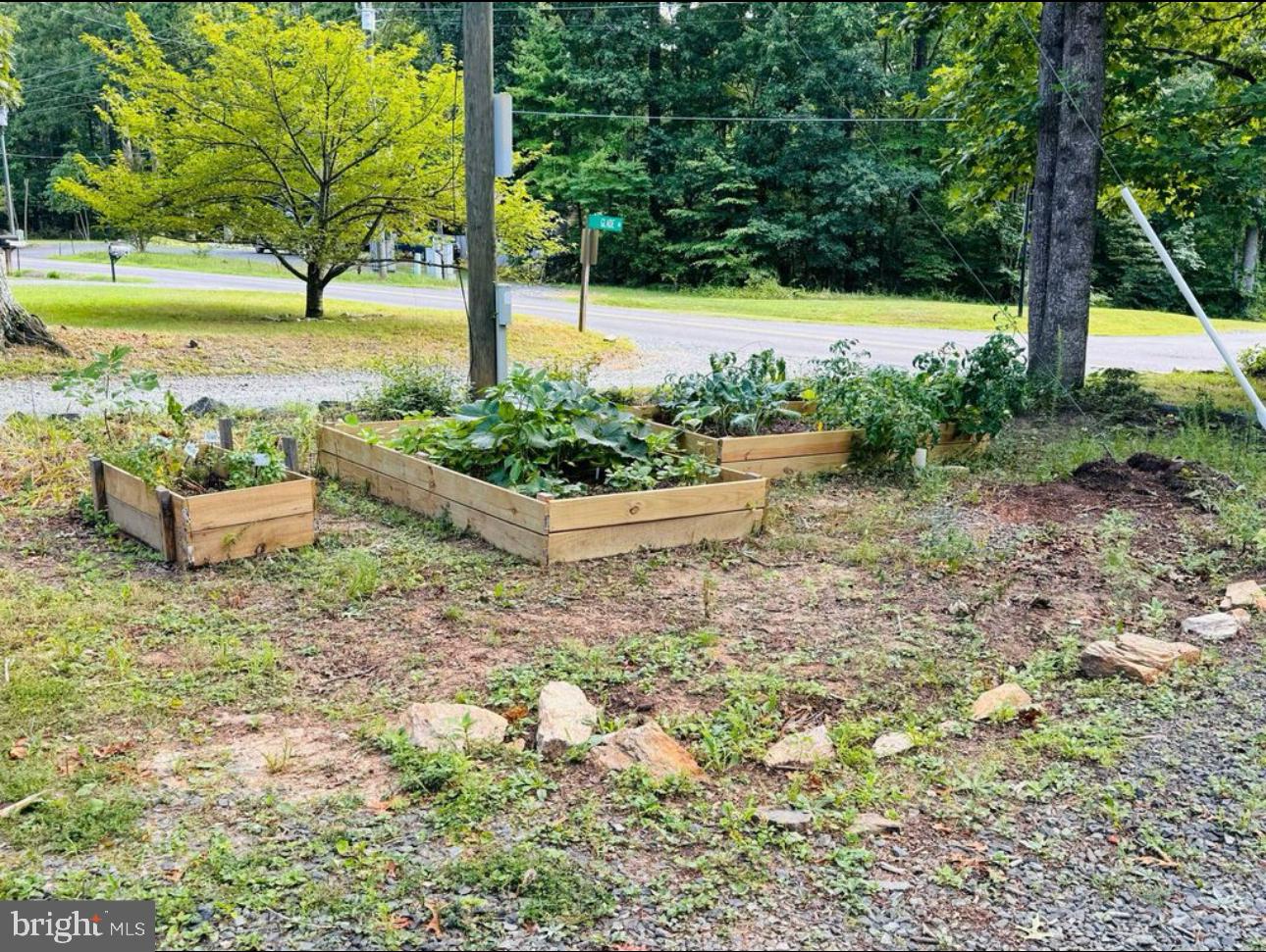 608 Tacketts Mill Road Stafford, VA 22556 - Photo 19 of 20 a view of a garden with an outdoor space
