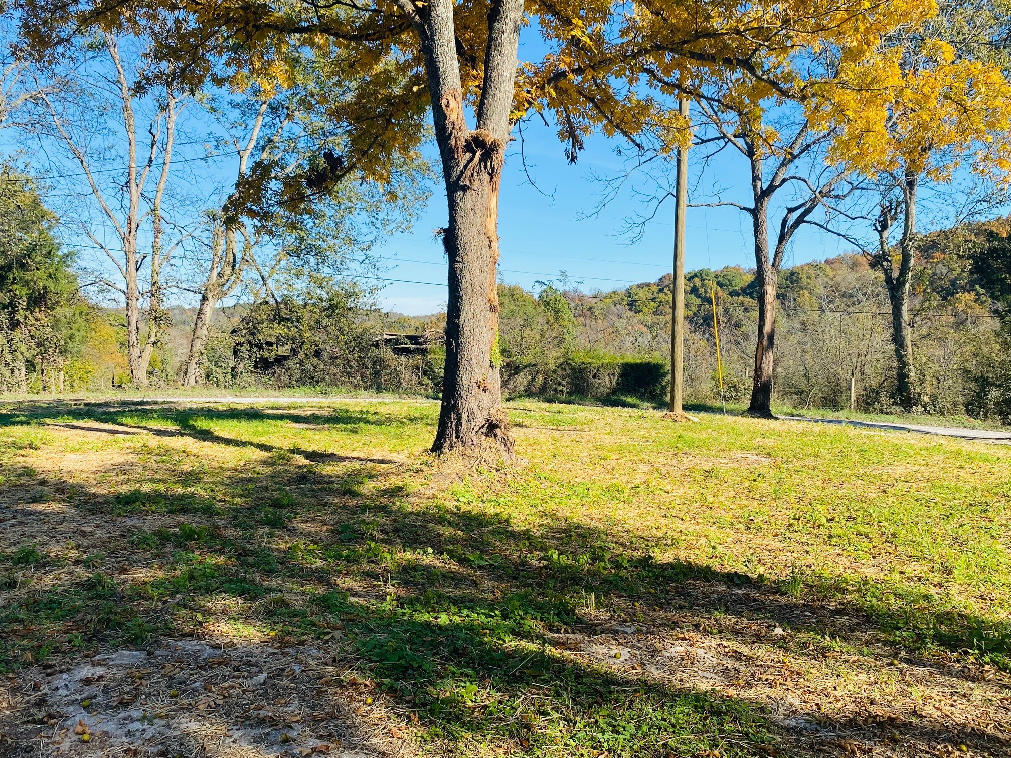 100 Hickory Ridge Road Fayetteville, TN 37334 - Photo 10 of 28 Gallery Image 10
