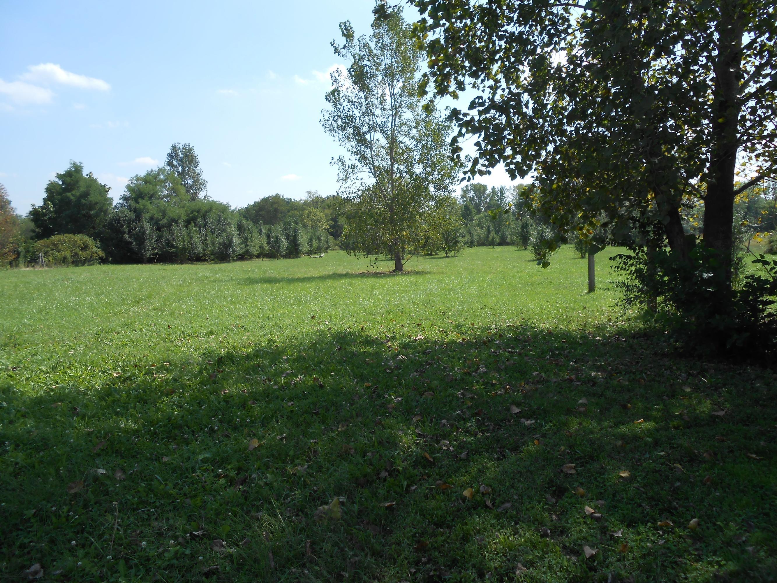 1275 Hiner Road Orient, OH 43146 - Photo 27 of 30 Gallery Image 27