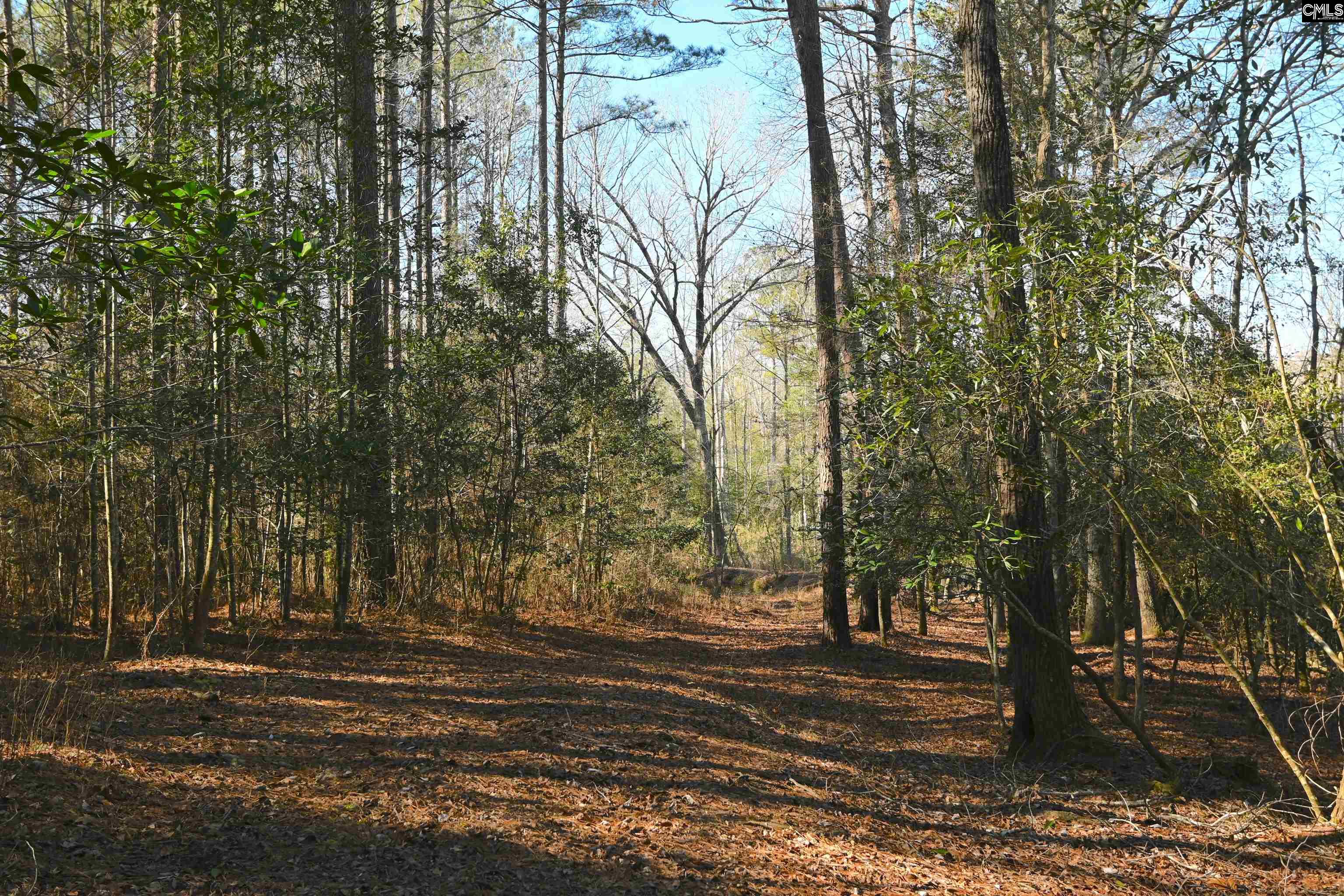 707 Mt Ebal Road Batesburg, SC 29006 - Photo 8 of 48