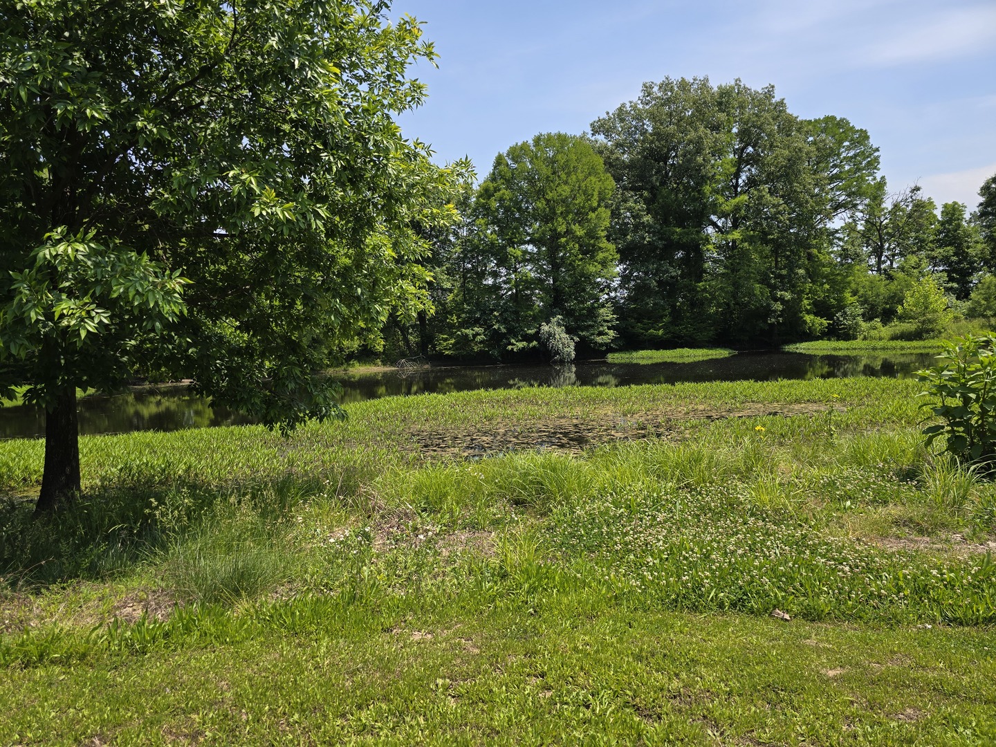 1490 Raleigh Road Raleigh, IL 62977 - Photo 3 of 14