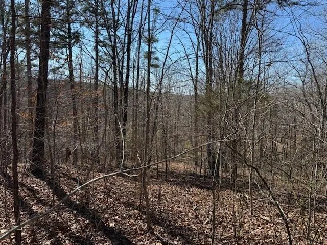 $65,000 | 2 South Pittsburg Mtn Road, Unit TRACT 2, South Pittsburg, TN 37380