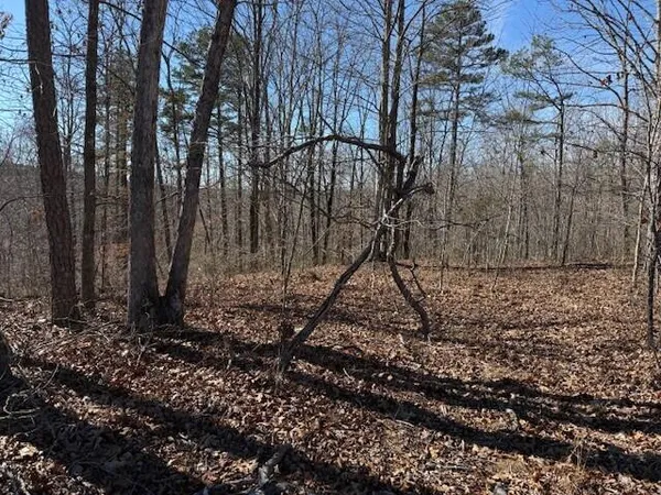 $65,000 | 2 South Pittsburg Mtn Road, Unit TRACT 2, South Pittsburg, TN 37380