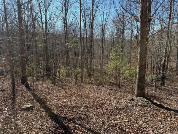 $65,000 | 2 South Pittsburg Mtn Road, Unit TRACT 2, South Pittsburg, TN 37380