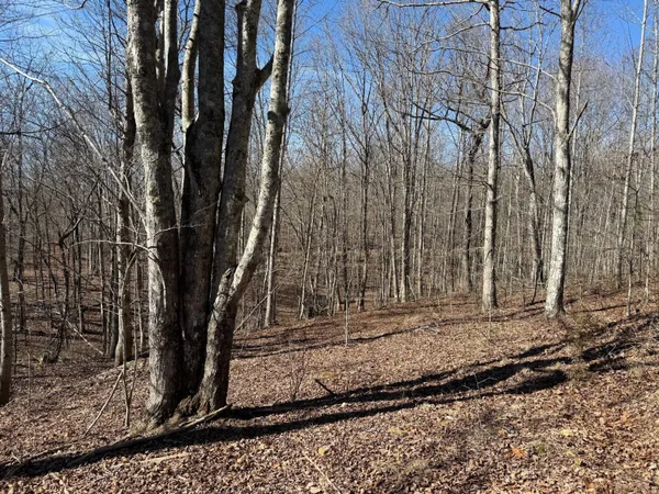 $65,000 | 2 South Pittsburg Mtn Road, Unit TRACT 2, South Pittsburg, TN 37380