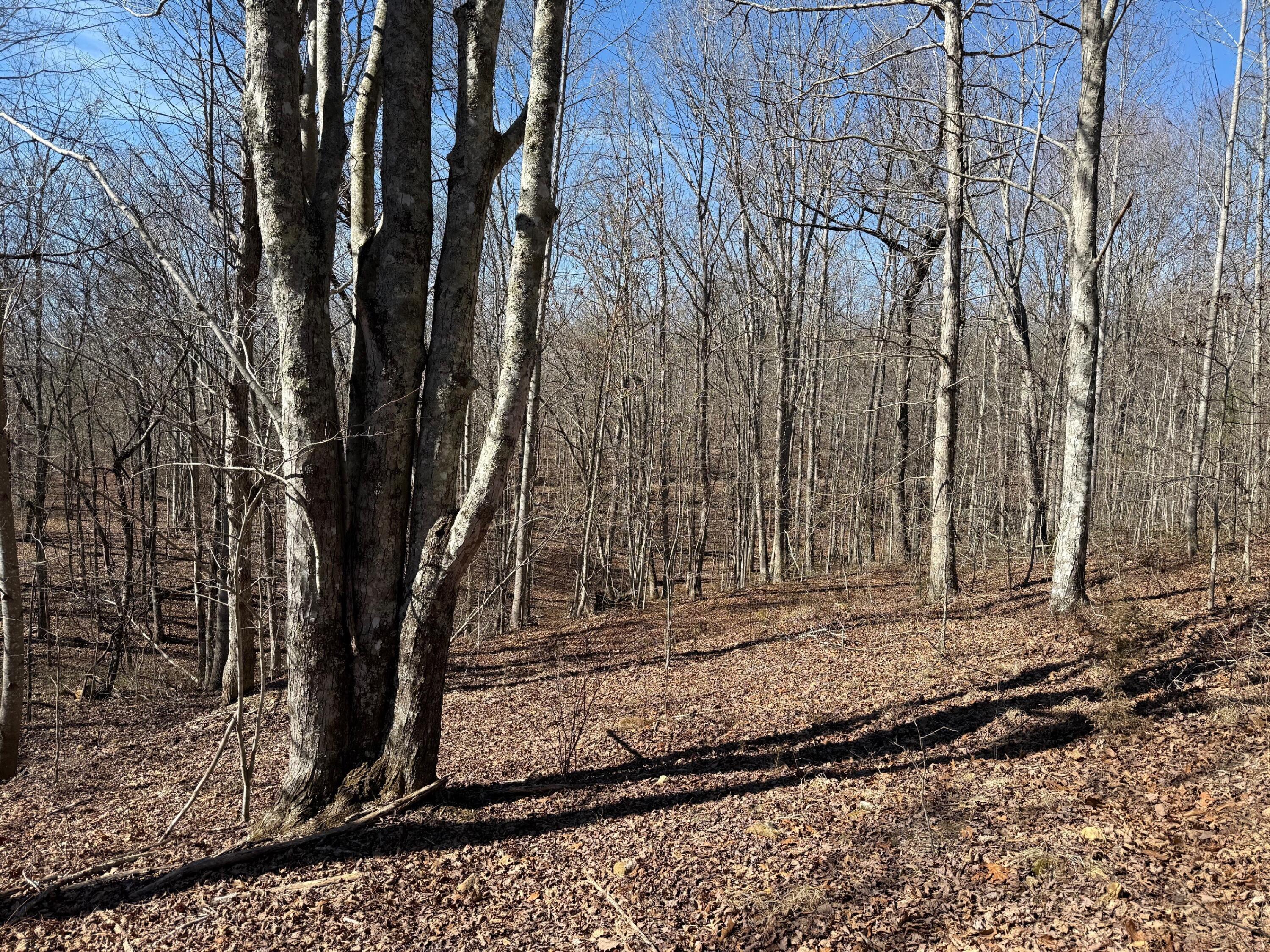 2 South Pittsburg Mtn Road, Unit TRACT 2 South Pittsburg, TN 37380 - Photo 13 of 20 8