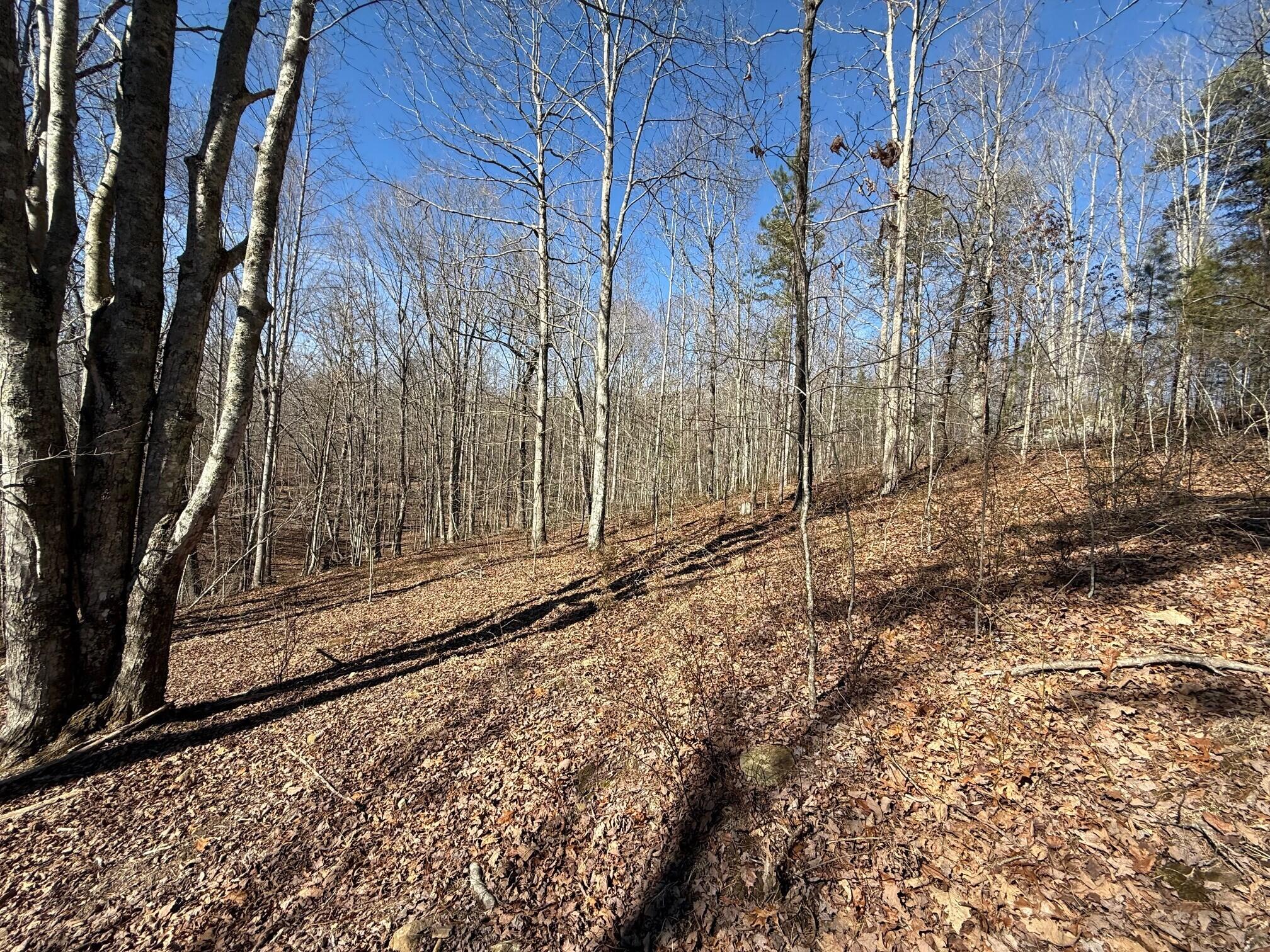 2 South Pittsburg Mtn Road, Unit TRACT 2 South Pittsburg, TN 37380 - Photo 14 of 20 9