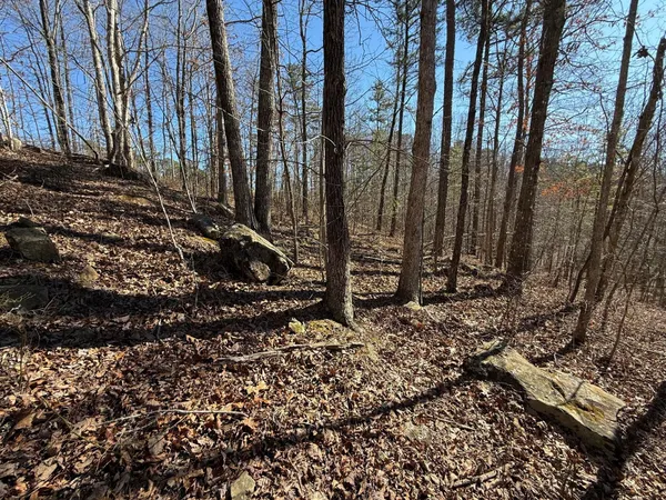 $65,000 | 2 South Pittsburg Mtn Road, Unit TRACT 2, South Pittsburg, TN 37380