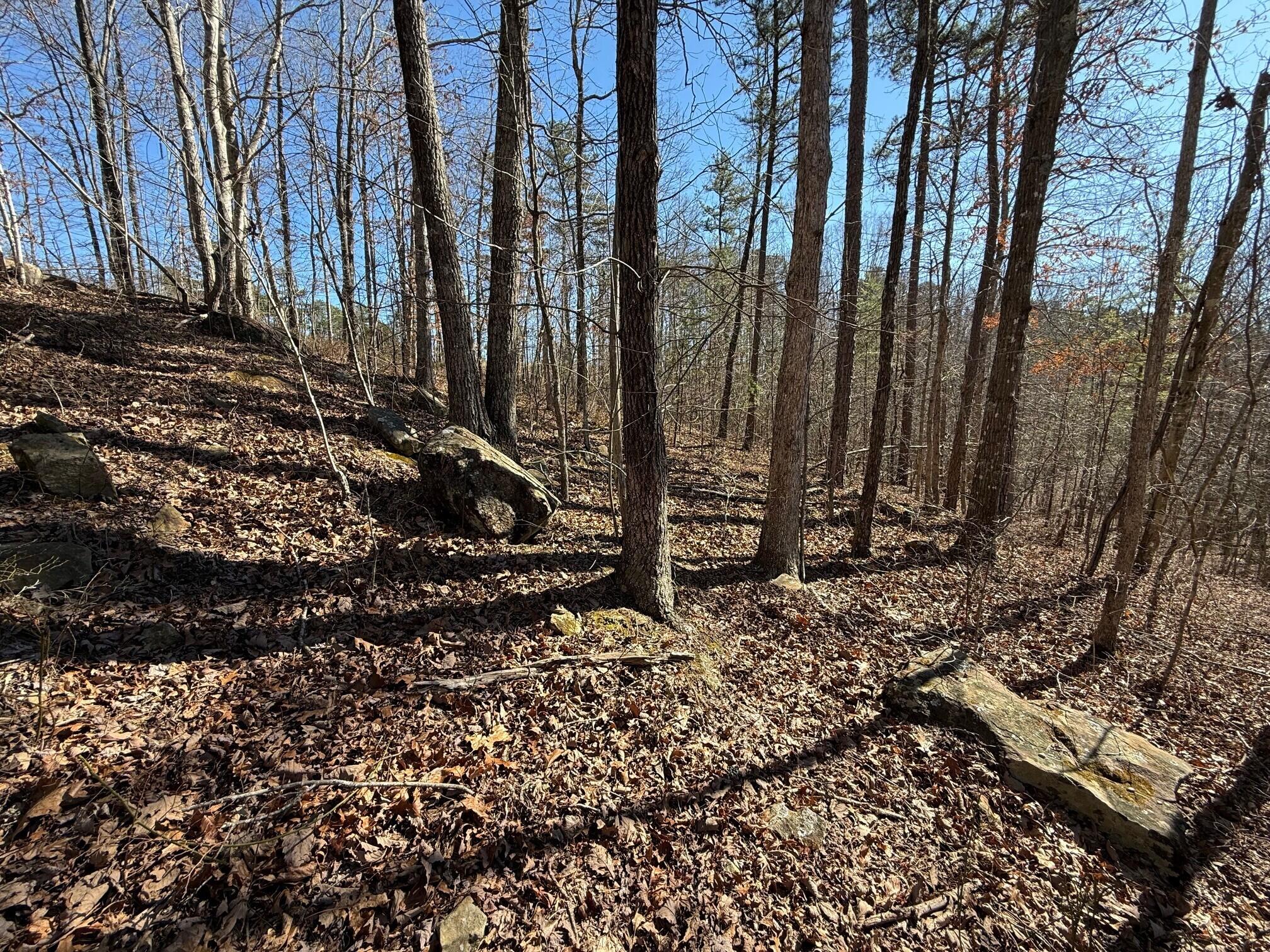 2 South Pittsburg Mtn Road, Unit TRACT 2 South Pittsburg, TN 37380 - Photo 2 of 20 16