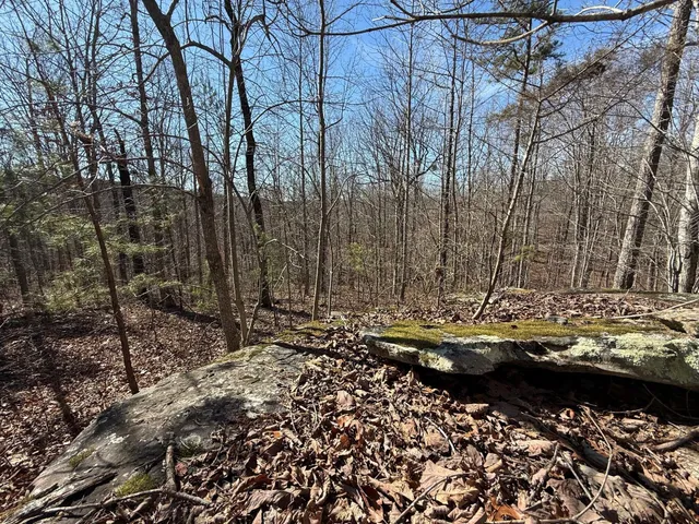 $65,000 | 2 South Pittsburg Mtn Road, Unit TRACT 2, South Pittsburg, TN 37380