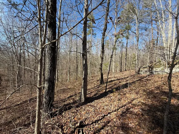 $65,000 | 2 South Pittsburg Mtn Road, Unit TRACT 2, South Pittsburg, TN 37380