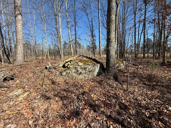 $65,000 | 2 South Pittsburg Mtn Road, Unit TRACT 2, South Pittsburg, TN 37380