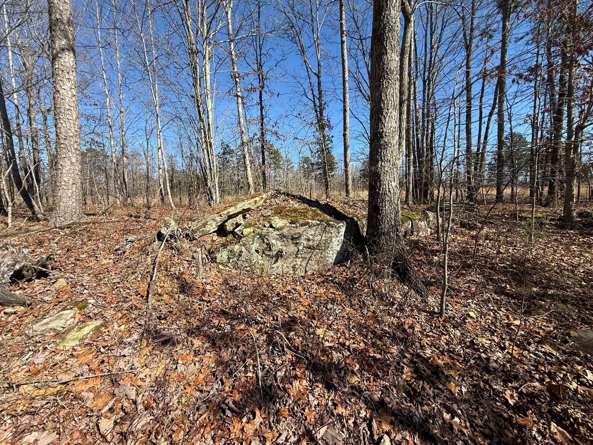 2 South Pittsburg Mtn Road, Unit TRACT 2 South Pittsburg, TN 37380 - Photo 5 of 20 20