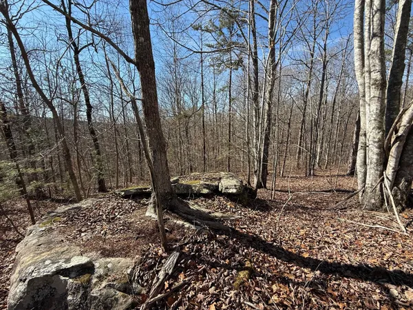 $65,000 | 2 South Pittsburg Mtn Road, Unit TRACT 2, South Pittsburg, TN 37380