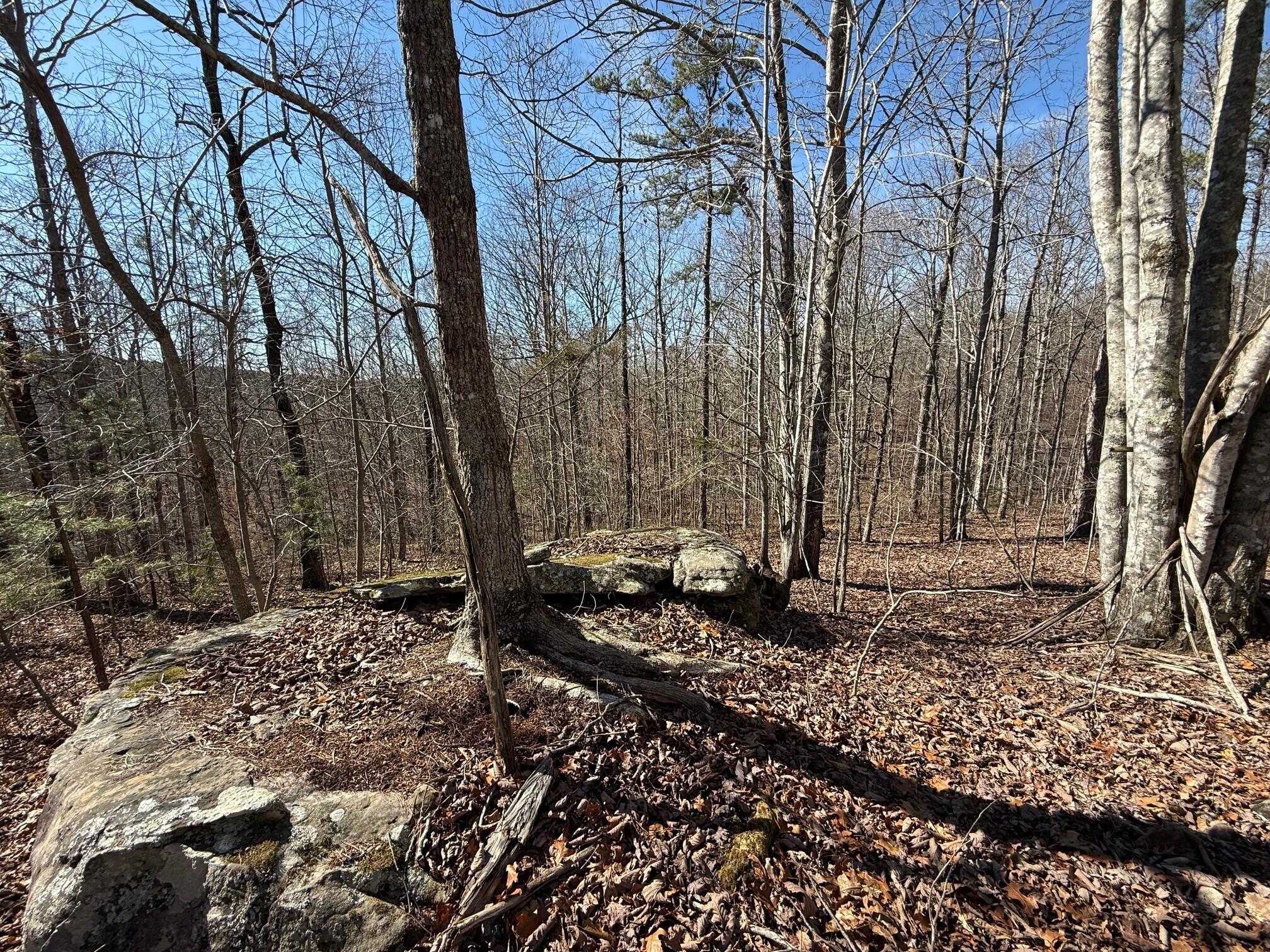 2 South Pittsburg Mtn Road, Unit TRACT 2 South Pittsburg, TN 37380 - Photo 6 of 20 21