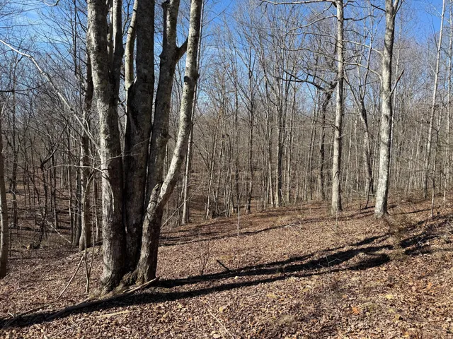 $65,000 | 2 South Pittsburg Mtn Road, Unit TRACT 2, South Pittsburg, TN 37380