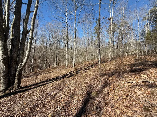 $65,000 | 2 South Pittsburg Mtn Road, Unit TRACT 2, South Pittsburg, TN 37380