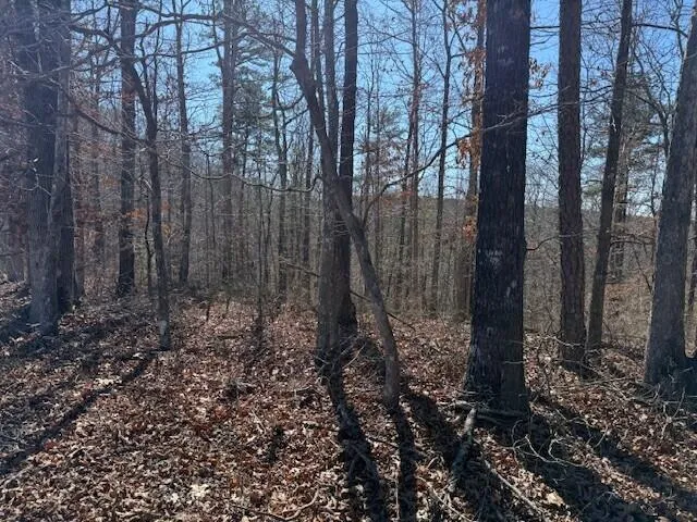 $65,000 | 2 South Pittsburg Mtn Road, Unit TRACT 2, South Pittsburg, TN 37380