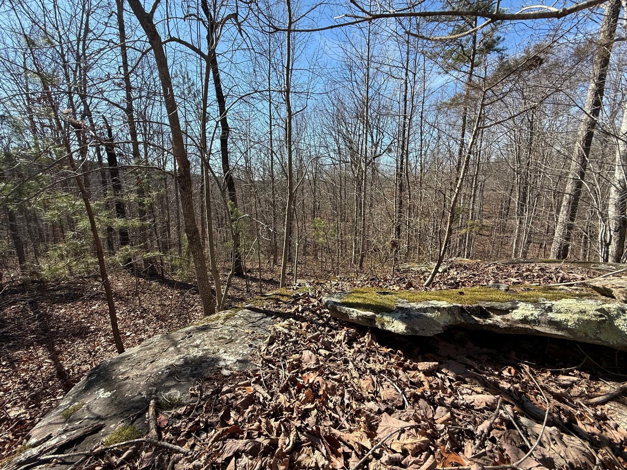 2 South Pittsburg Mtn Road, Unit TRACT 2 South Pittsburg, TN 37380 - Photo 9 of 20 12