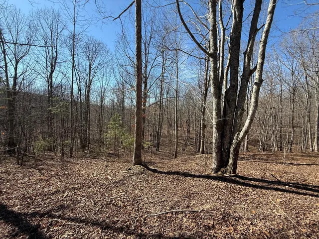 $65,000 | 2 South Pittsburg Mtn Road, Unit TRACT 2, South Pittsburg, TN 37380