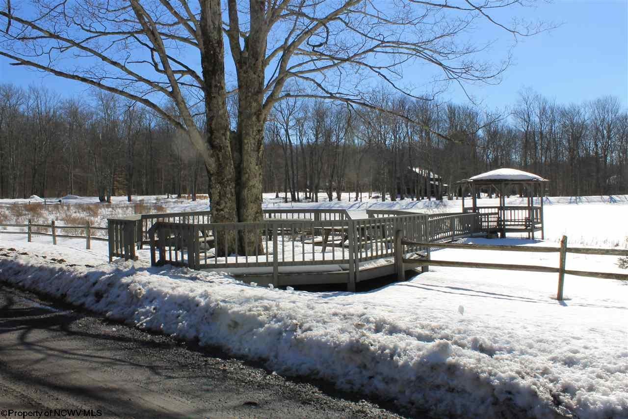 0 Maple Davis, WV 26260 - Photo 12 of 12 Gallery Image 12