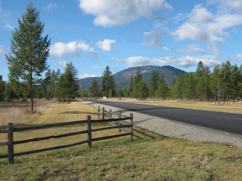 Mountain View Acreage