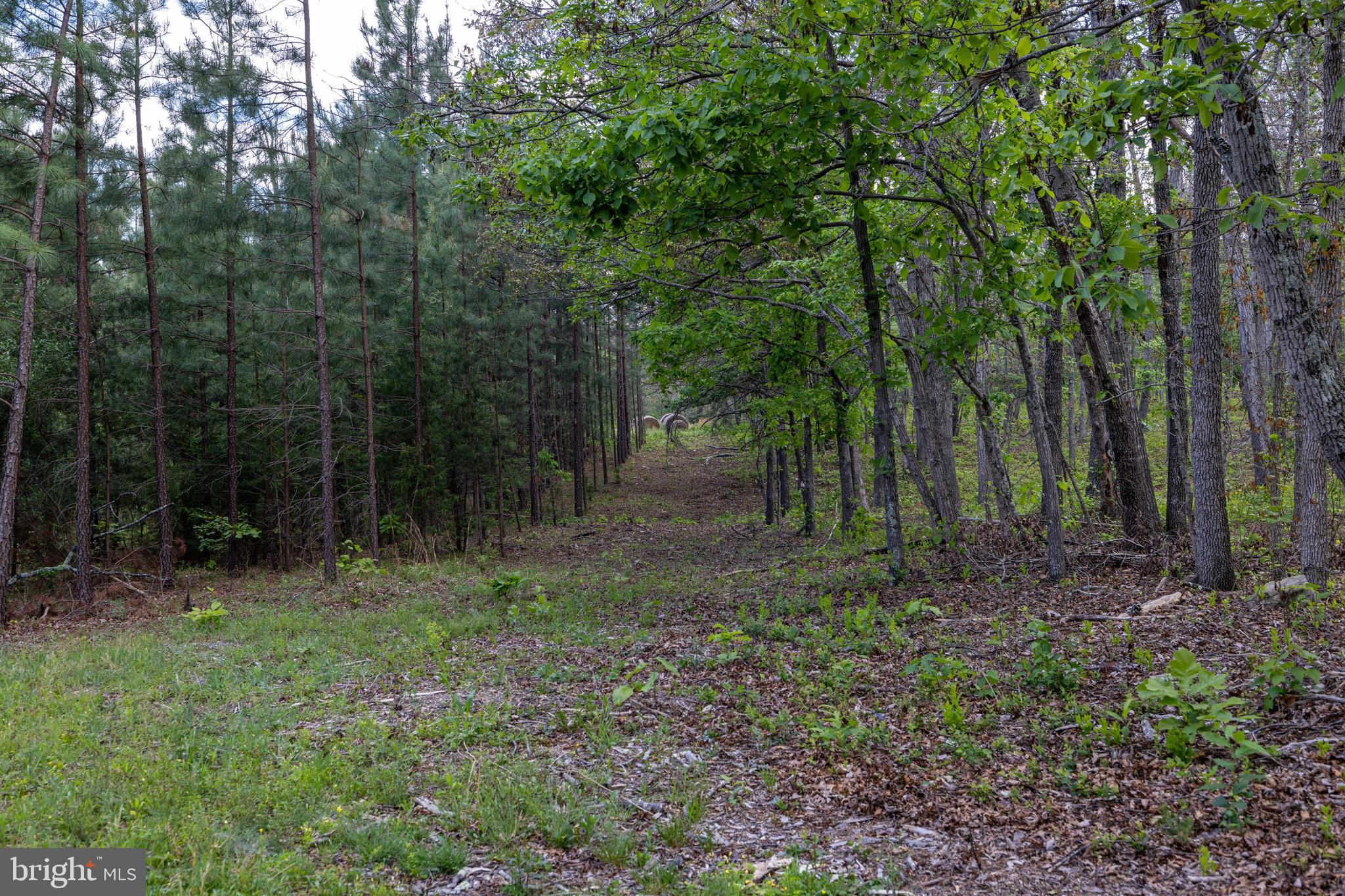 Boliver Road Fort Valley, VA 22652 - Photo 24 of 49 Gallery Image 24