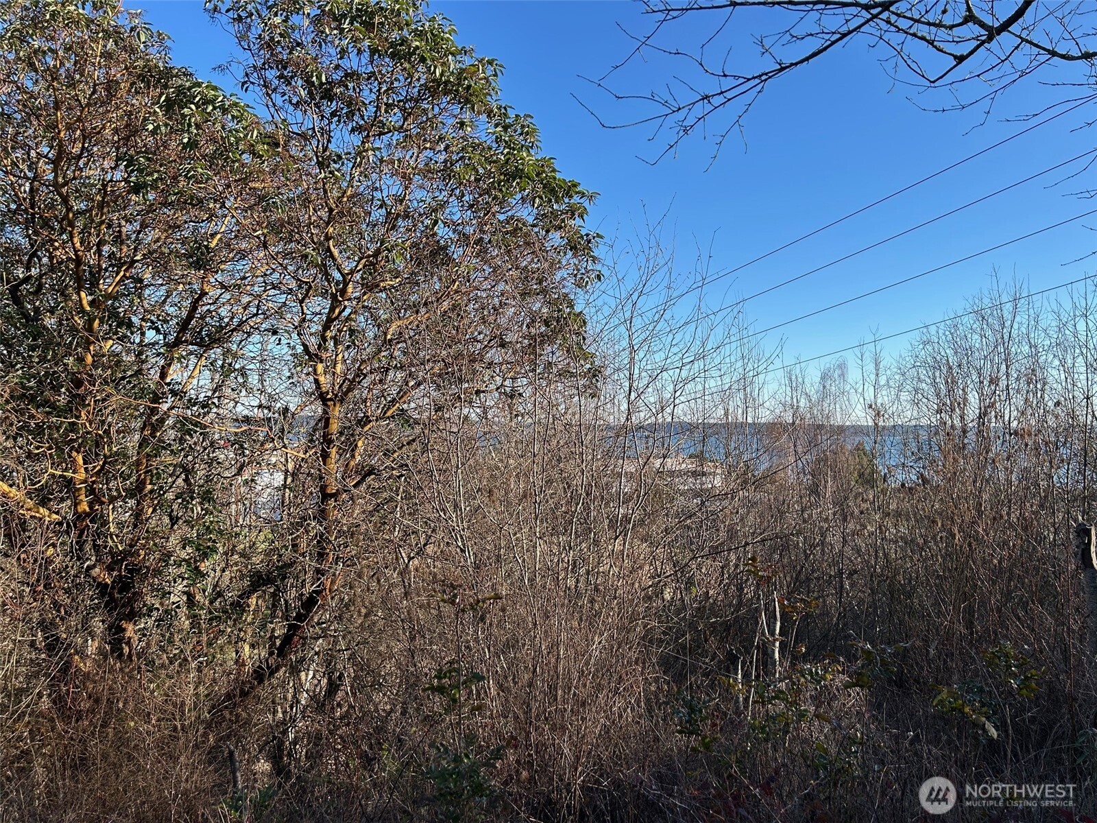 687 West Sims Way Port Townsend, WA 98368 - Photo 2 of 3 a view of a yard